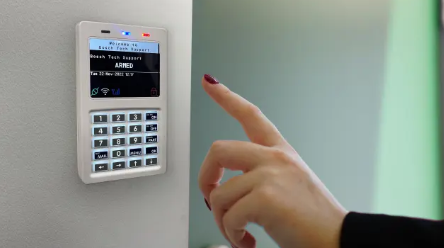 Intrusion detection keypad armed